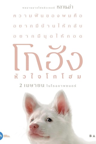 Gohan (2026) โกฮัง..หัวใจโกโฮม