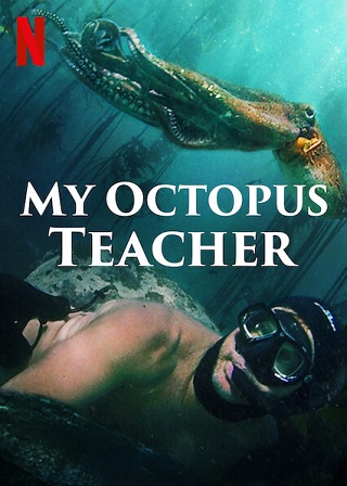 My Octopus Teacher | Netflix (2020) บทเรียนจากปลาหมึก